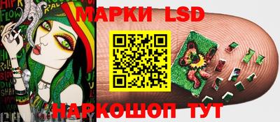 МДПВ Донецк