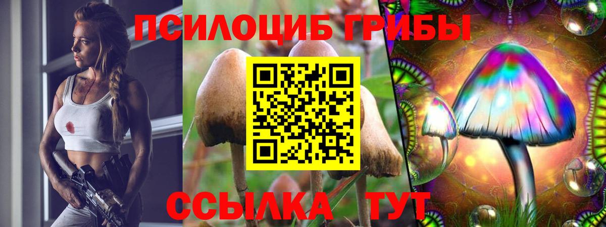 Галлюциногенные грибы GOLDEN TEACHER  Вход с VPN  Москва 